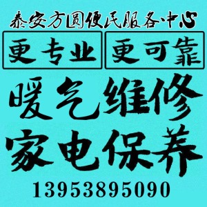 公司介绍